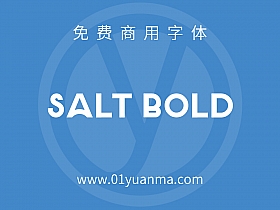 Salt Bold 免费商用字体