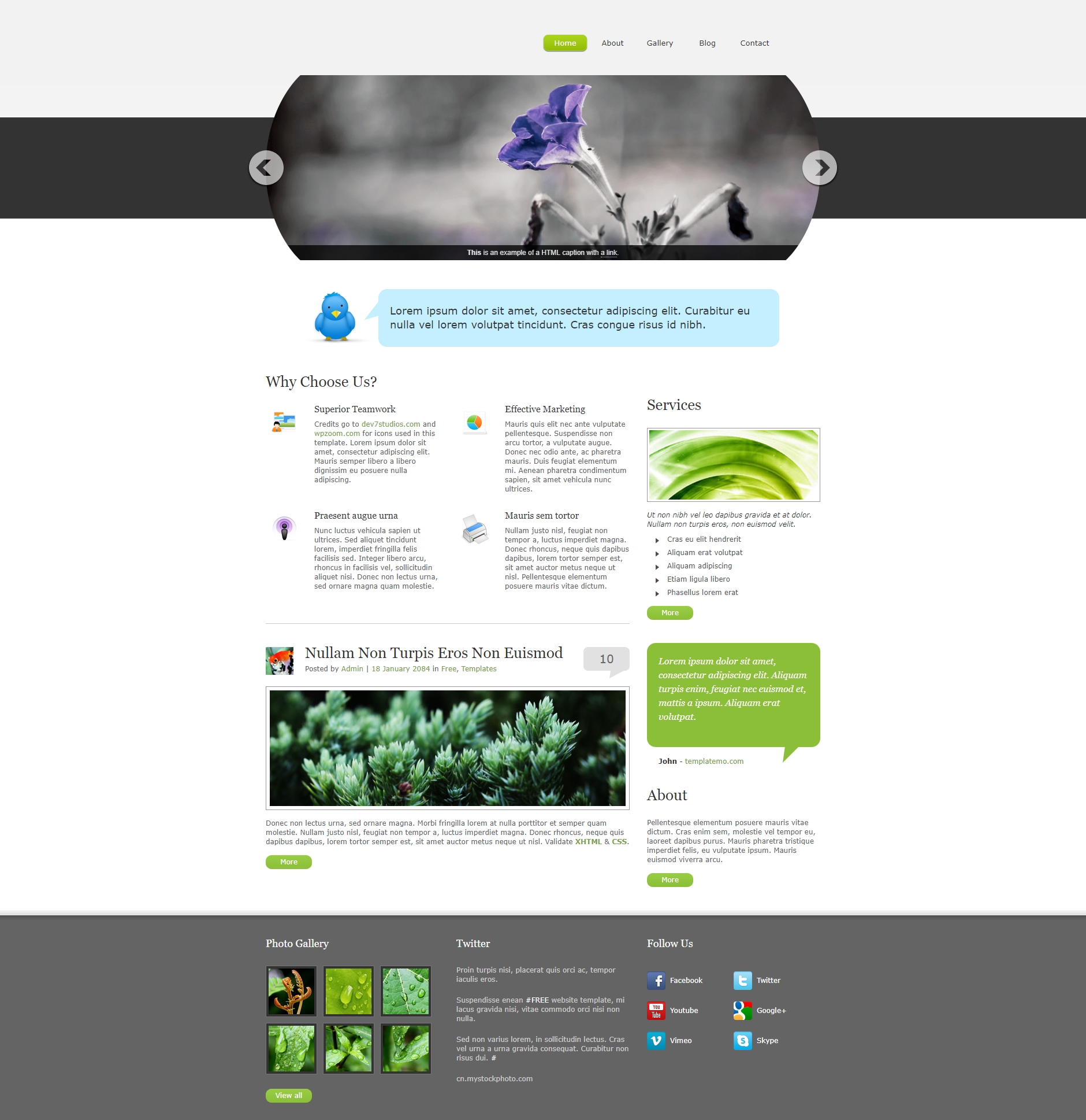 绿色的个人博客网站首页模板html源码下载
