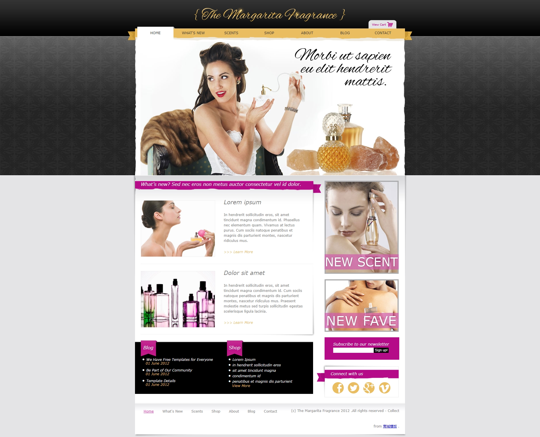 国外网上购物女性化妆品商城模板下载html