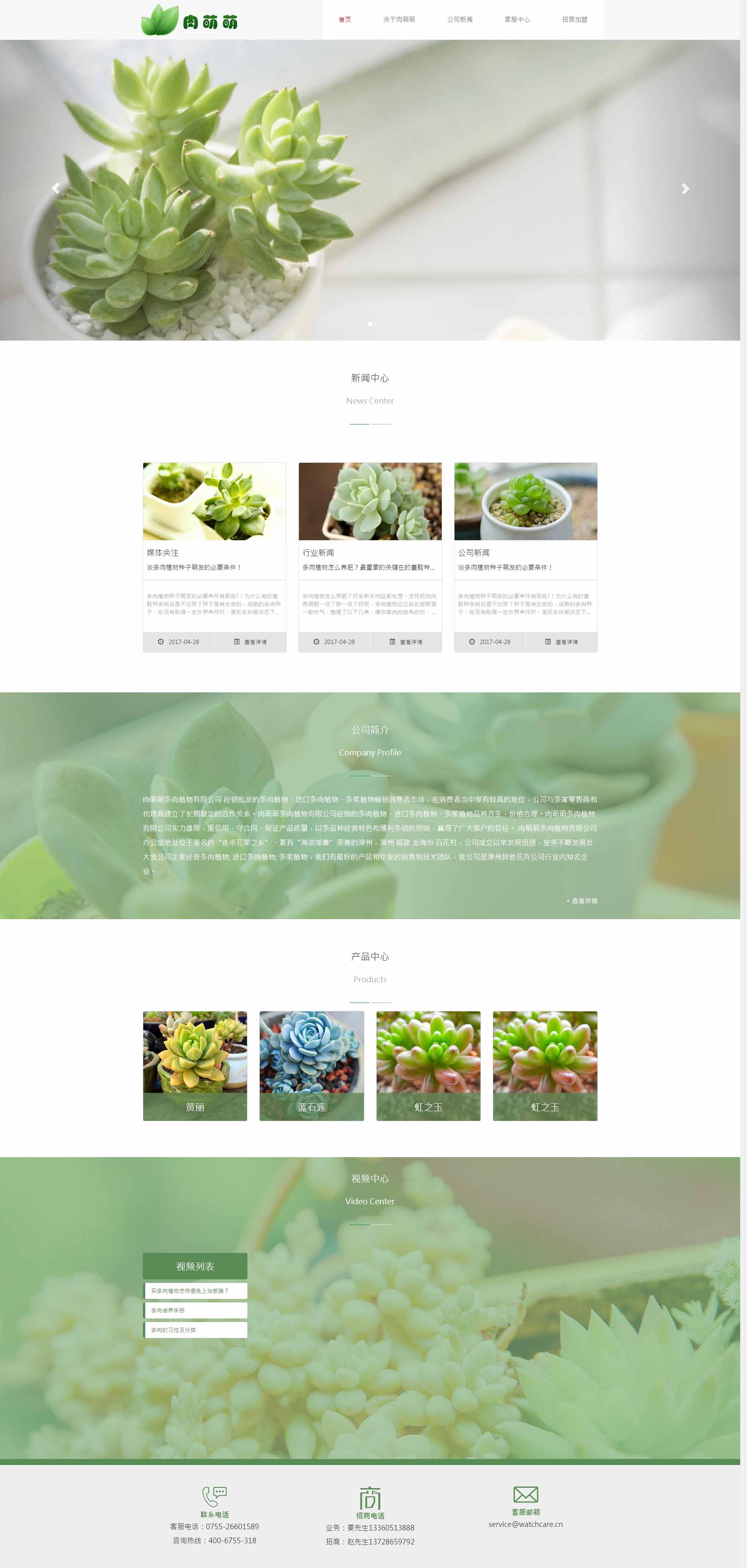 绿色的多肉盆栽植物养殖网站模板下载