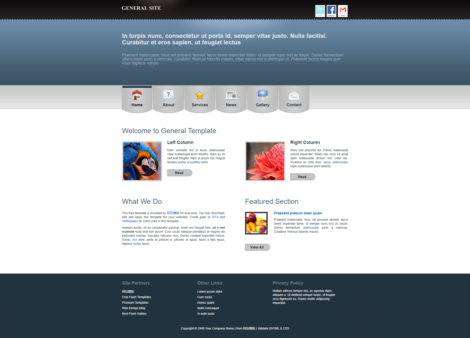 简约大气网站模板_蓝色网页模板_欧美风格页面模板_html模板下载